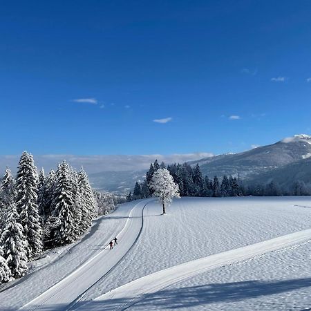 Aparthotel Burglehnerhof à Ramsau am Dachstein Extérieur photo