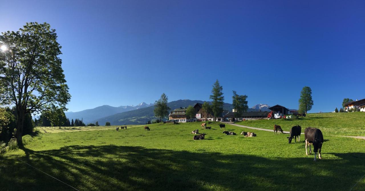 Aparthotel Burglehnerhof à Ramsau am Dachstein Extérieur photo