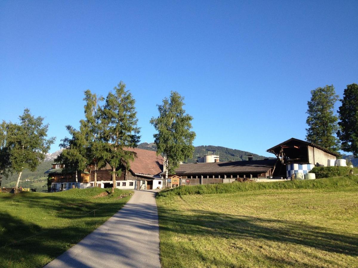 Aparthotel Burglehnerhof à Ramsau am Dachstein Extérieur photo