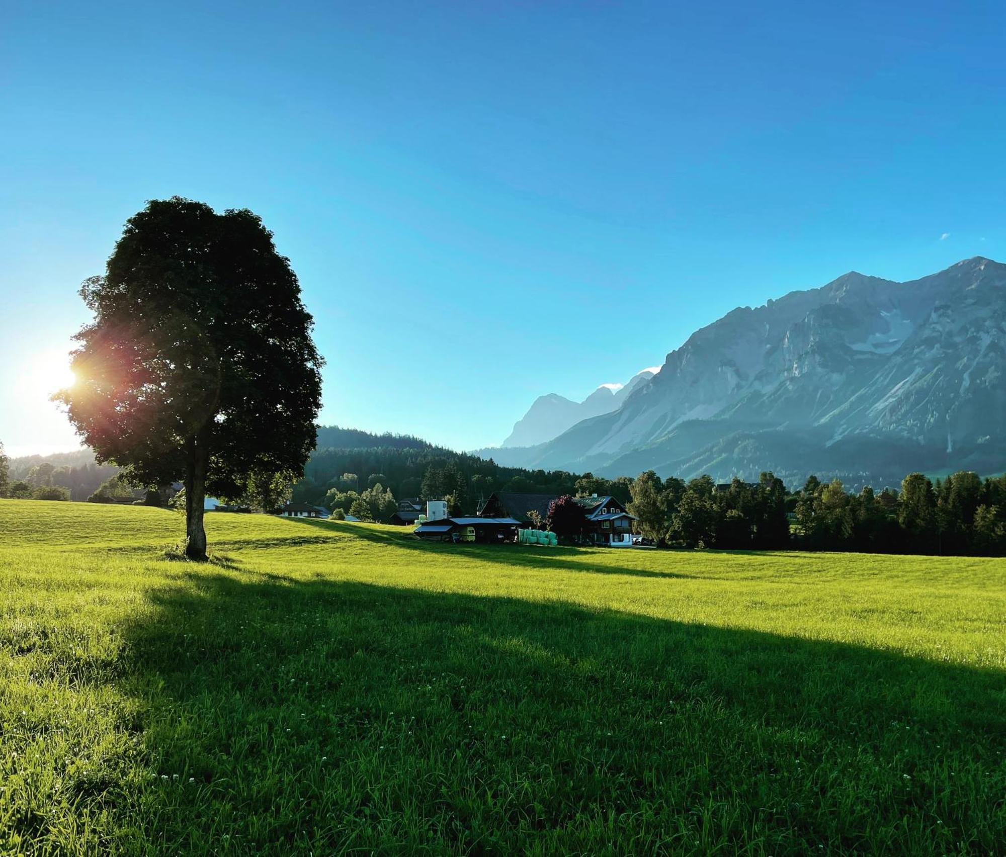 Aparthotel Burglehnerhof à Ramsau am Dachstein Extérieur photo