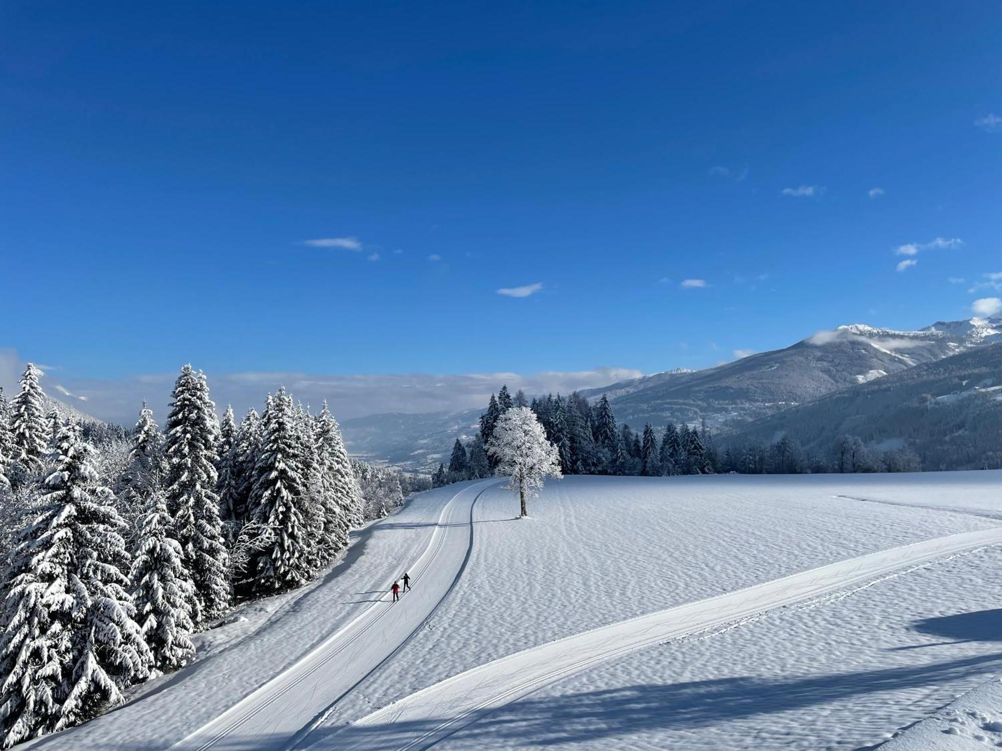 Aparthotel Burglehnerhof à Ramsau am Dachstein Extérieur photo